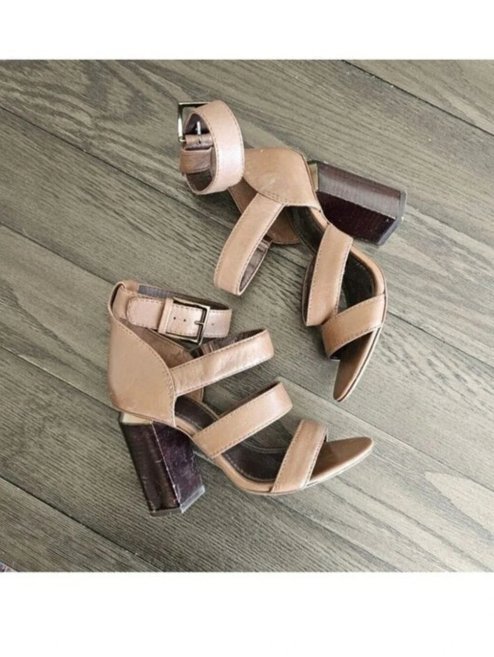 Tory Burch only reposhed